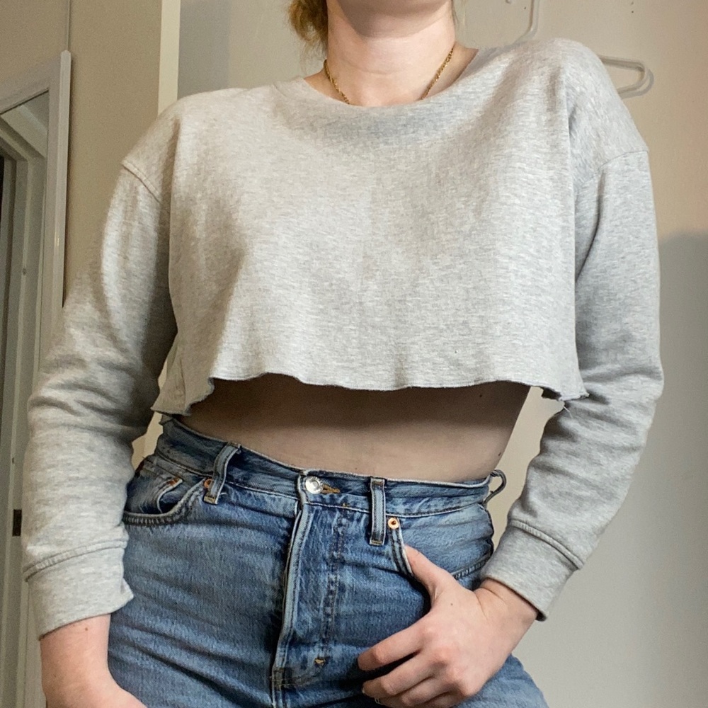 Zara Grey cropped sweatshirt
